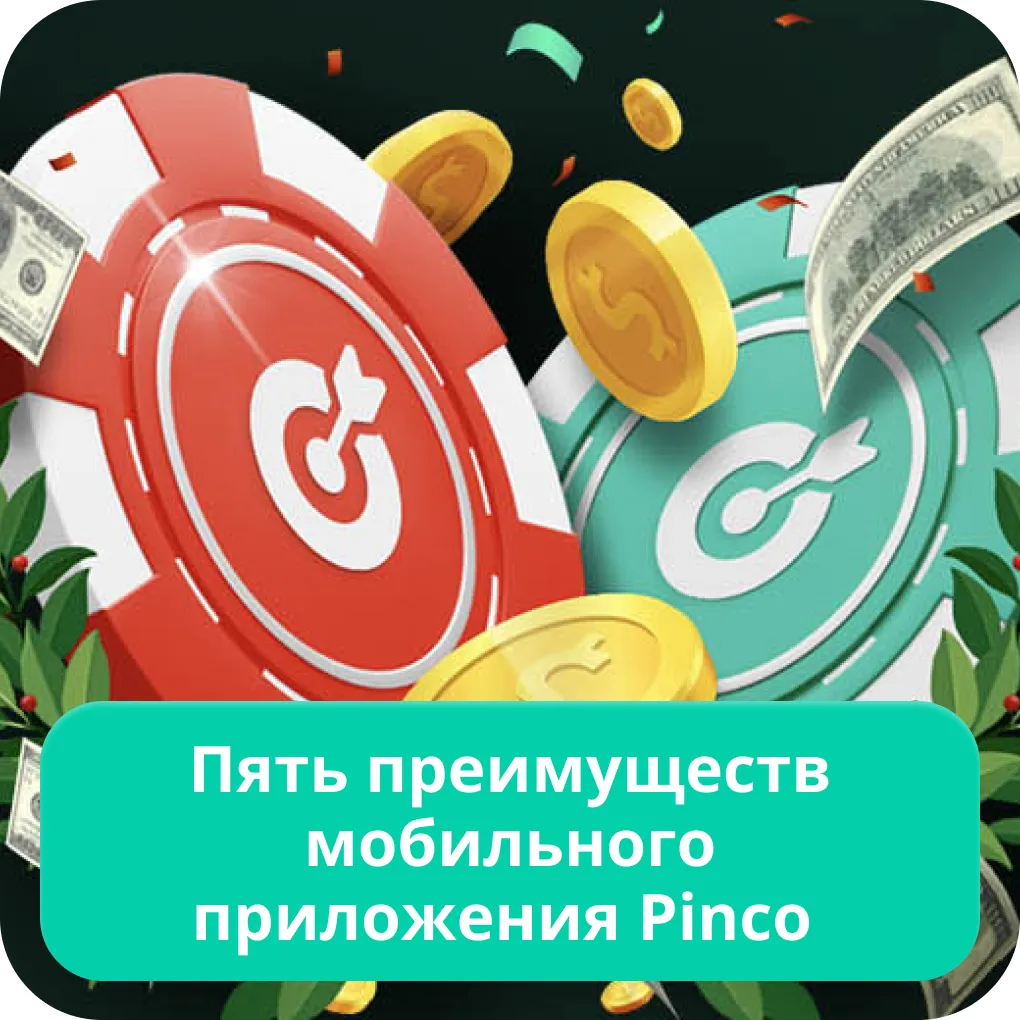 Мобильное приложение Pinco Мобильное приложение Pinco